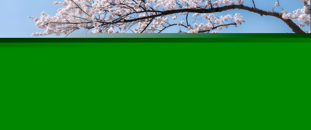 ؔʺ